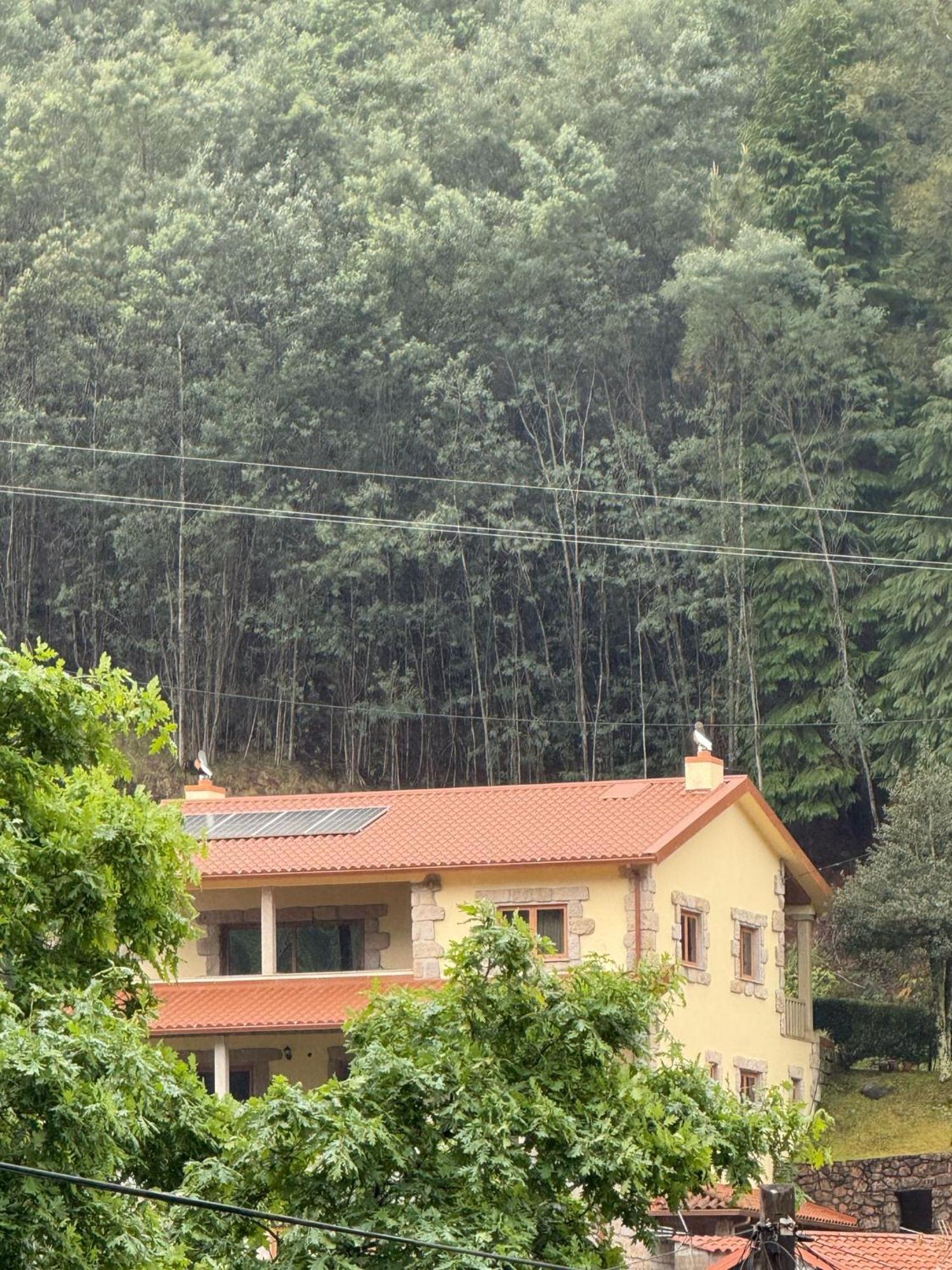 Casa Do Pedrogo Ξενοδοχείο Geres Εξωτερικό φωτογραφία